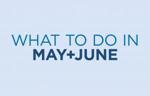 Read more about the article what to do: may + june