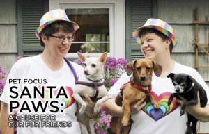 Operation Santa Paws Home Run Pet Care