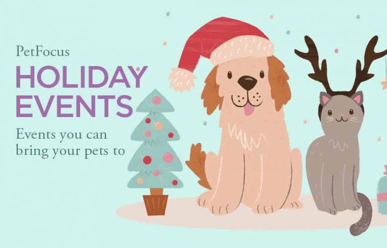 Holiday Pet Events