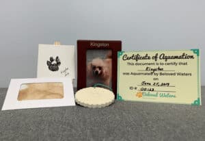 beloved waters aquamation memory kit sample picture
