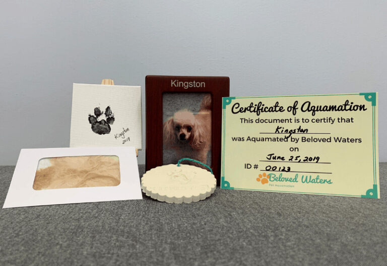 beloved waters aquamation memory kit sample picture