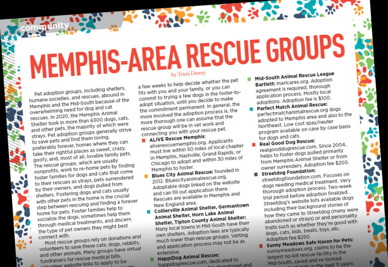 Memphis-area-rescue-groups