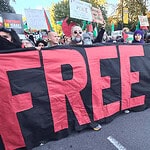 12 Local Ways You Can Show Support for Palestine