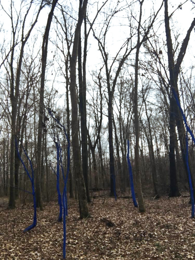 Nerd en la naturaleza, las imágenes de árboles azules son de la instalación de Konstantin Dimopoulos, Blue Trees, cortesía de William Smythe.