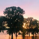 Nerding en la naturaleza: la magia de la escena natural de Memphis
